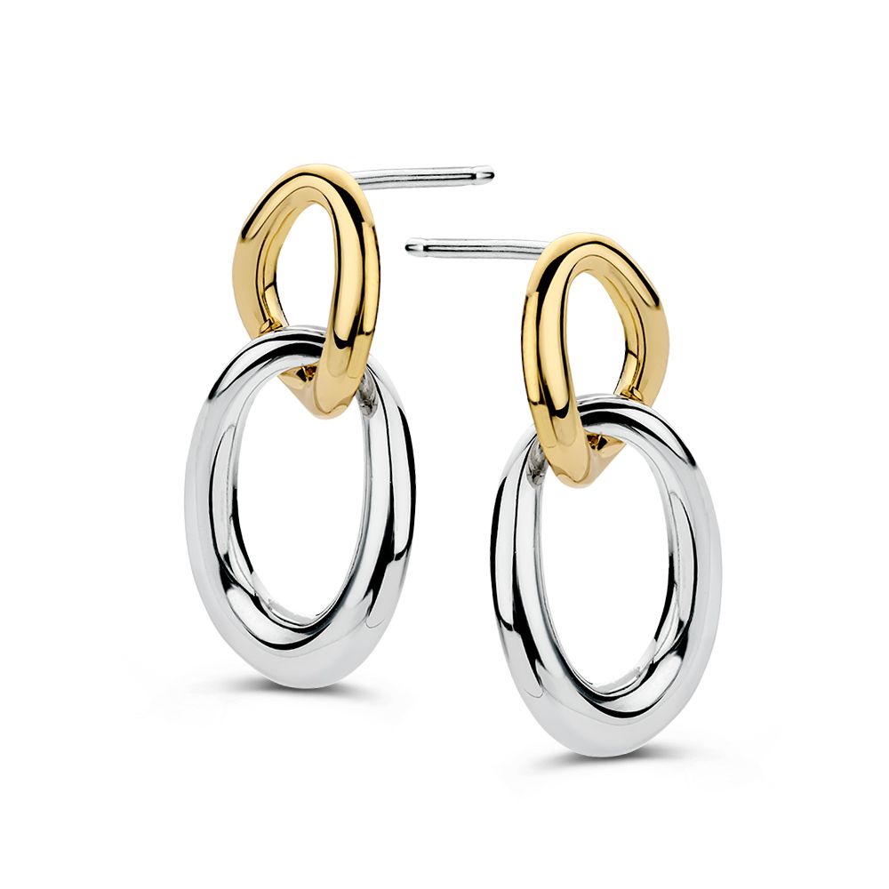 Opvallende zilver met geelgouden schakeloorbellen.
