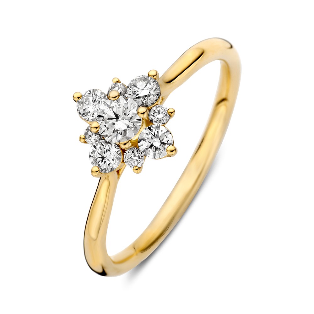 Excellent Jewelry - 14kt geelgouden fantasie entourage ring, jaarring 2025 - RG118211-56