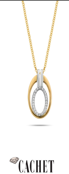 De My Style Diamonds hanger is een verfijnd sieraad vervaardigd uit 14 karaat bi-color goud, bezet met een diamanten van 0,10 karaat in GH/SI-kwaliteit. Deze schitterende briljante hanger is perfect voor zowel dagelijkse als speciale gelegenheden. Combineer het met een fijne ketting voor een elegante uitstraling. Een tijdloze toevoeging aan elke sieradencollectie.