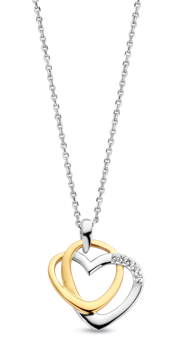 De Rosa Di Luca zilveren hanger bi-color met zirkonia (modelnummer 624615) is een elegante ketting van zilvermateriaal, met een prachtig bi-color ontwerp. De hanger heeft zirkonia-stenen en komt op een collier van 45 cm lang. Met een gewicht van 1,8 gram is het licht en comfortabel te dragen. Perfect voor een verfijnde, dagelijkse look.