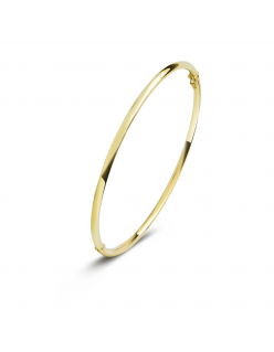 De Fjory gouden armband met modelnummer 40.A30XX02 is een verfijnd sieraad. Perfect voor zowel formele als informele gelegenheden, voegt deze armband een vleugje elegantie toe aan elke outfit. Draag het solo voor een subtiele uitstraling of combineer met andere sieraden voor een opvallende look.

De armband is gemaakt van een buis 14krt goud met een zilveren kern.