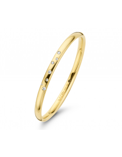 De Fjory gouden armband in 58mm,model 40-Aster-0.21 is een prachtige geelgouden armband met een diamant van 0.21 karaat. Deze elegante armband voegt een vleugje luxe toe aan elke outfit. Perfect te combineren met zowel formele als casual kleding voor een verfijnde uitstraling.

De armband is gemaakt van een buis 14krt goud met een zilveren kern.
