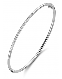 De Fjory gouden armband met modelnummer 50-A30XX02-0,11 is een elegante armband van witgoud, verrijkt met een diamant van 0,11 karaat. Deze verfijnde armband is perfect voor speciale gelegenheden of als een dagelijks stijlvol accessoire.

De armband is gemaakt van een buis 14krt goud met een zilveren kern.