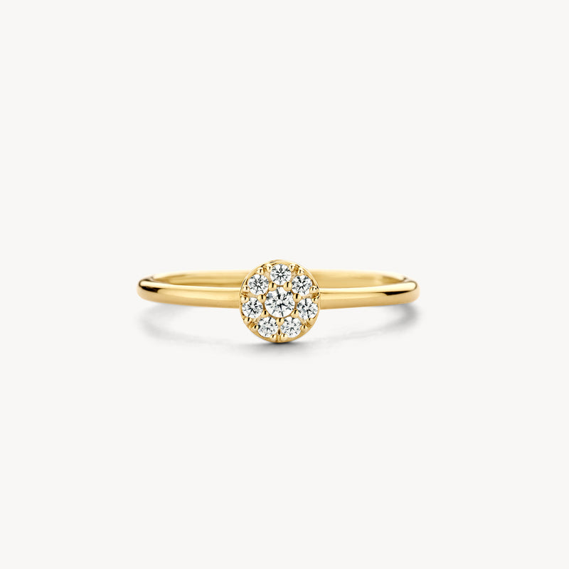 Ontdek deze verfijnde ring, vervaardigd uit 14k geelgoud. Je ziet een slanke band die subtiel overgaat in een cirkelvormig cluster van schitterende zirkonia's. Deze zijn zorgvuldig pavé gezet voor maximale glans. Met een banddikte van ⌀ 1.4 mm draagt hij comfortabel en elegant. Een tijdloze toevoeging aan jouw sieradencollectie.