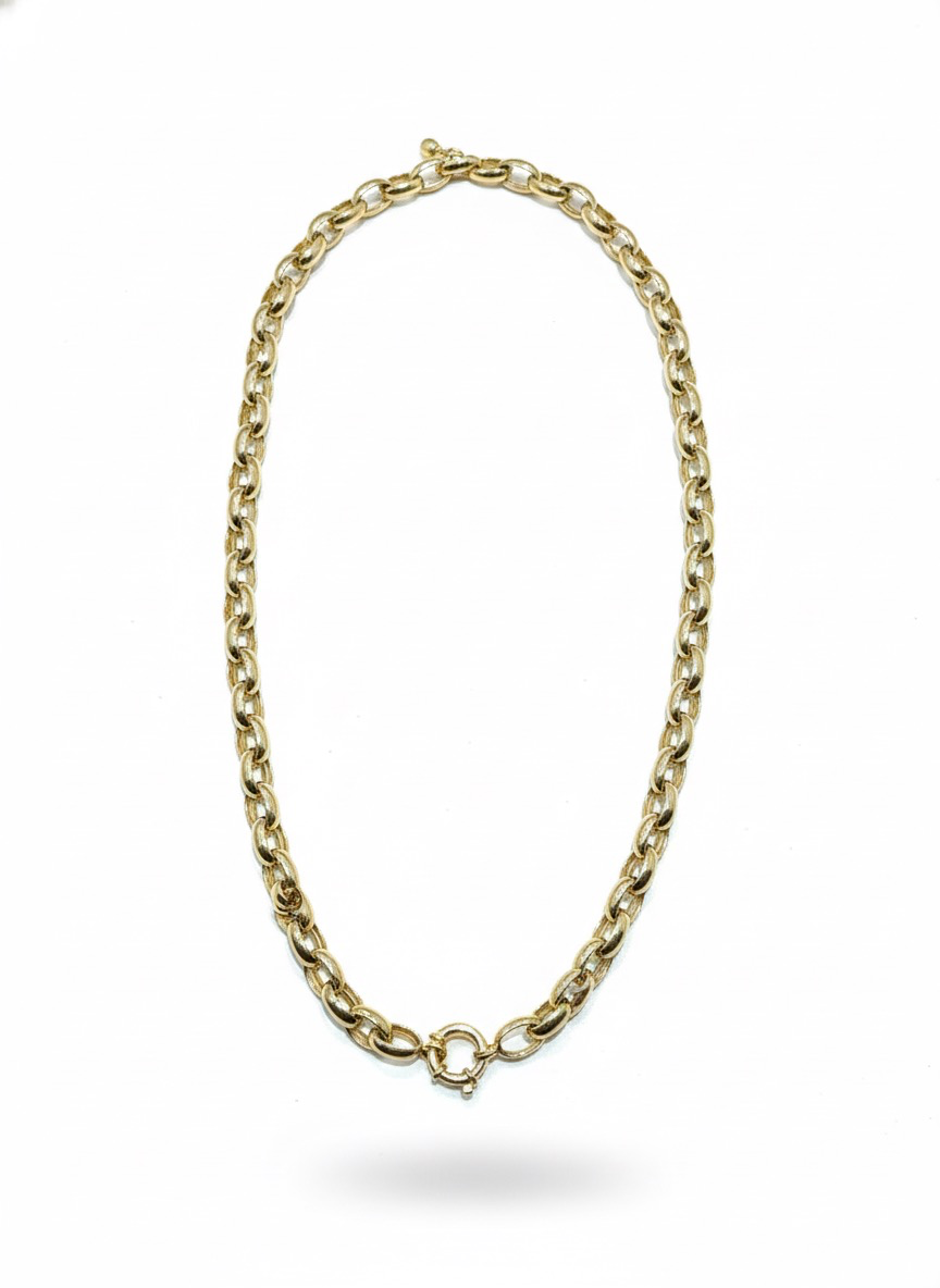 De 14 karaats gouden jasseron schakel ketting met modelnummer JRS661 is een stijlvolle en glanzende ketting met een breedte van 6,8 mm, perfect voor elke gelegenheid. Deze gouden halsketting van 45 cm lengte, gemaakt van 14-karaats goud, weegt 12 gram en is nieuw. Draag hem solo of combineer met andere kettingen voor een trendy look.