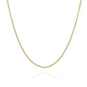 Zilver verguld collier jasseron 45 cm.