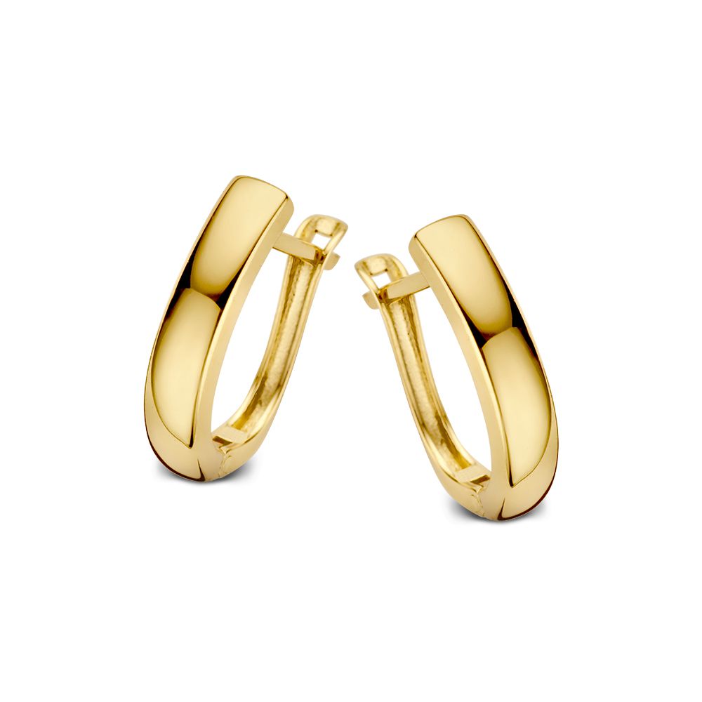 Geelgouden oorringen.
