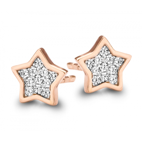 Oorringen zilver rose verguld van het merk Silver Rose 