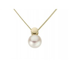 Hanger met parel 18 kt exclusief ketting