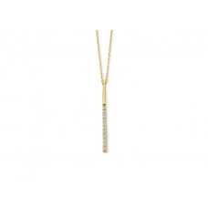 Staafje met zirconia inclusief ketting.