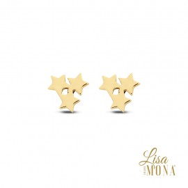 Oorringen 14kt sterren 6mm