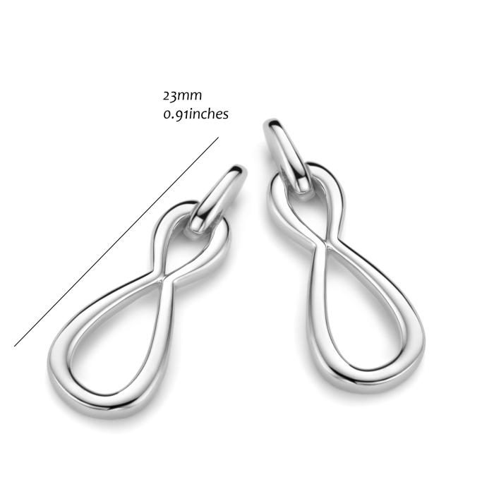 Slingeroorringen zilver