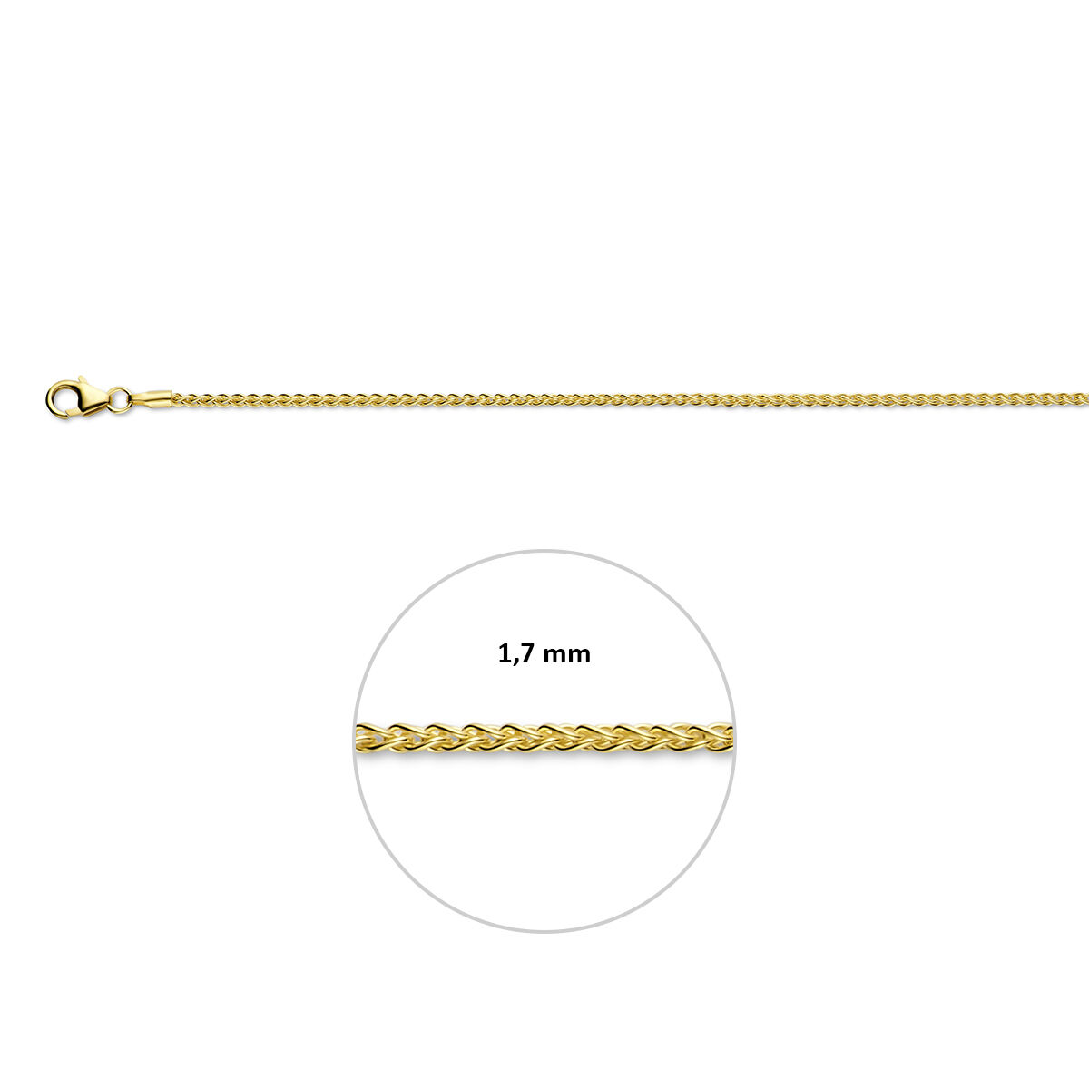 14k Geelgouden collier in palmier schakel