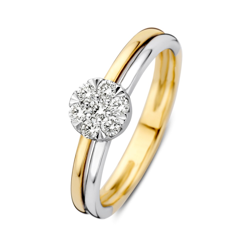 Stijlvolle, bicolor wit- en geelgouden ring met diamanten in een strakke entourage zetting. De ring bevat totaal 0,25 crt. aan diamanten. Dankzij de verhoogde zetting kan de ring naar wens worden gecombineerd met andere ringen. Een schitterend plaatje aan de hand!

