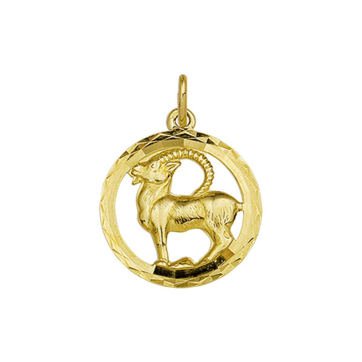 14k Gouden Sterrenbeeld Hanger Steenbok gediamanteerd met een diameter van 18mm