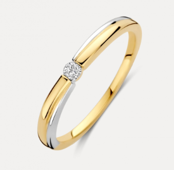 Krakau is perfect draagbaar en combineerbaar met zowel geel- als witgouden sieraden. Uitgevoerd in bicolor 14 karaats goud met een briljant geslepen diamant van 0.05 crt H/Si, die stijlvol alles samenvoegt.