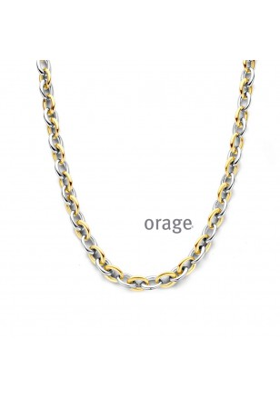 Collier is staal bi-color 