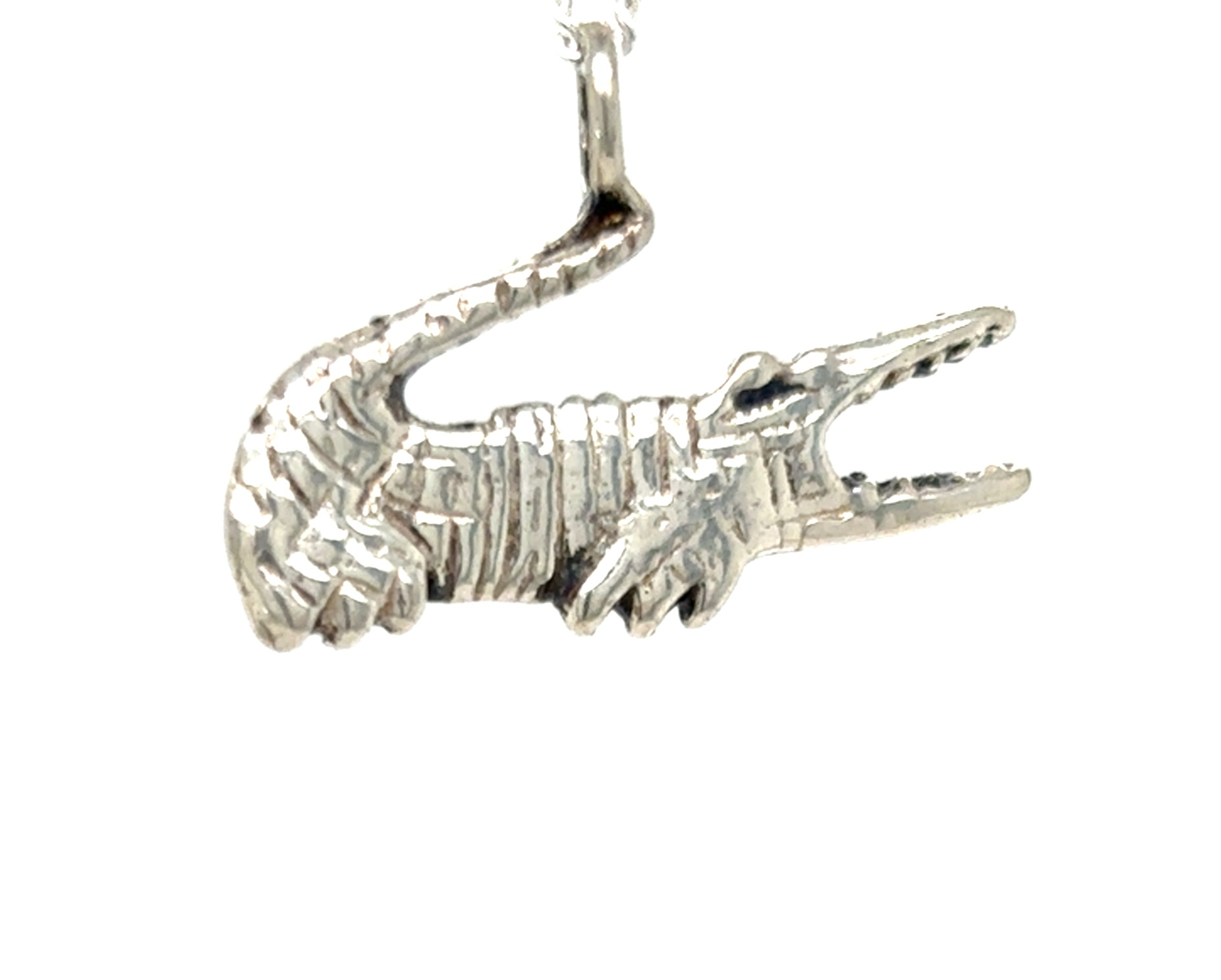 Zilveren hanger huiscollectie