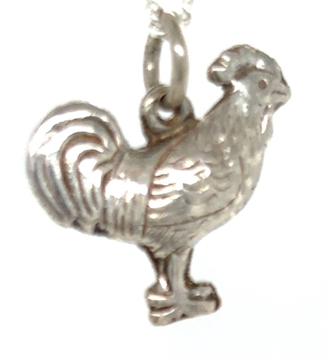 Zilveren hanger huiscollectie