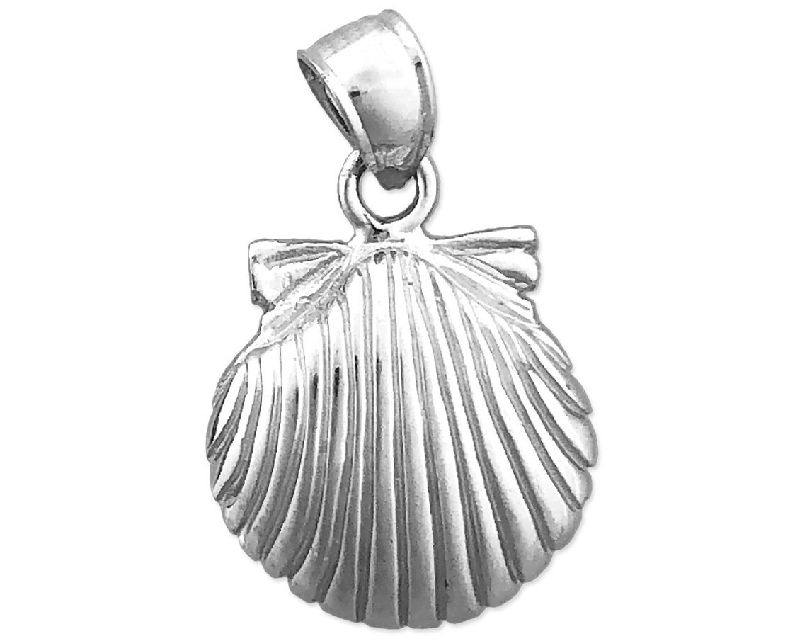 Sint jakobsschelp deze staat symbool van de pelgrimsroute naar Santiago de Compostela