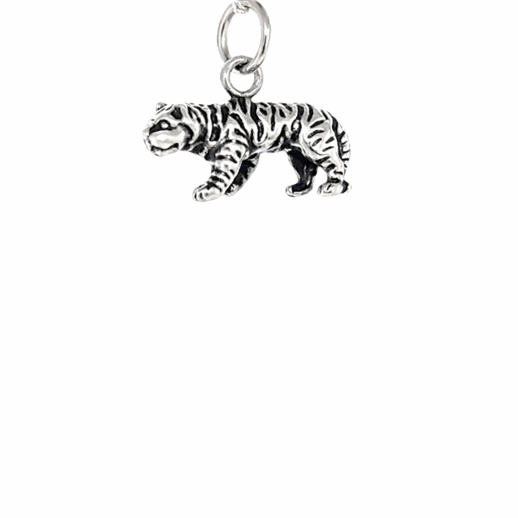 Zilveren hanger huiscollectie