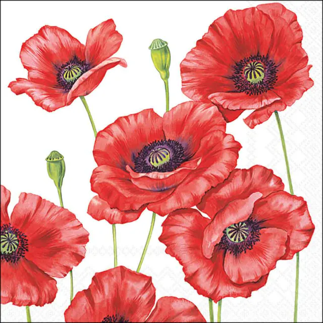 De Napkin 33 Romantic poppy met FSC Mix, modelnummer 13308505, biedt een charmant design dat perfect is voor elke feestelijke gelegenheid. Als onderdeel van de categorie "TOYS_HOBBY_PARTY" zijn deze servetten ideaal voor stijlvolle tafelopstellingen bij bijeenkomsten. Combineer met bijpassende tafeldecoratie voor een complete look. Perfect voor romantische diners of vrolijke feesten.