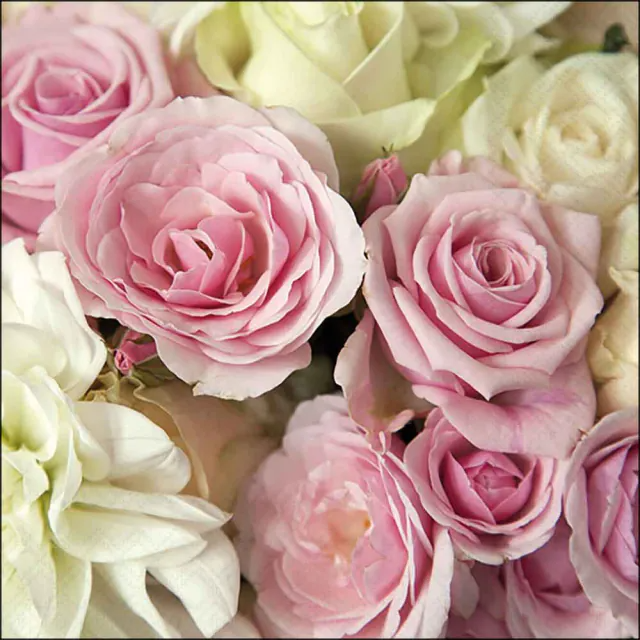 De Napkin 33 Madison FSC Mix, modelnummer 13316345, valt onder de categorie SPEELGOED_HOBBY_FEEST. Hoewel het niet bedoeld is om te dragen, zorg ervoor dat het correct wordt gebruikt binnen de context van feestartikelen. Voeg stijl en duurzaamheid toe aan uw feestje met deze servet die FSC-gecertificeerd is. Perfect voor een milieuvriendelijke en chique tafeldecoratie.