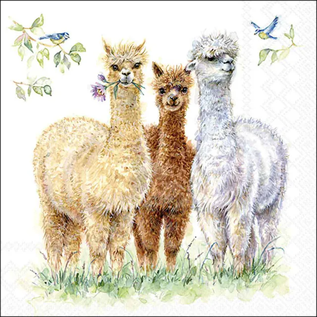 De Napkin 33 Alpaca Friends FSC Mix met modelnummer 13318570 is een charmant product in de categorie SPEELGOED_HOBBY_FEEST. Deze servetten hebben schattige alpaca-ontwerpen en zijn gemaakt van FSC-gecertificeerd papier, wat milieuvriendelijkheid garandeert. Ideaal voor kinderfeestjes en gezellige bijeenkomsten. Om te dragen: gebruik als leuke tafeldecoratie voor een feestelijke sfeer. Perfect voor dierliefhebbers!