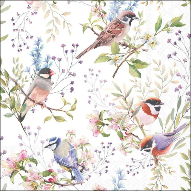 De Napkin 33 Busy Birds FSC Mix, modelnummer 13320390, is een servet in de categorie TOYS_HOBBY_PARTY. Ideaal voor feestelijke gelegenheden, met een levendige vogelprint. Perfect voor tafelversieringen. Hoe te dragen: vouw het servet decoratief om bestek of gebruik het als een stijlvolle aanvulling bij uw tafeldekking.

**Belangrijk:** Servetten worden niet gedragen, dit was een creatieve uitleg.
