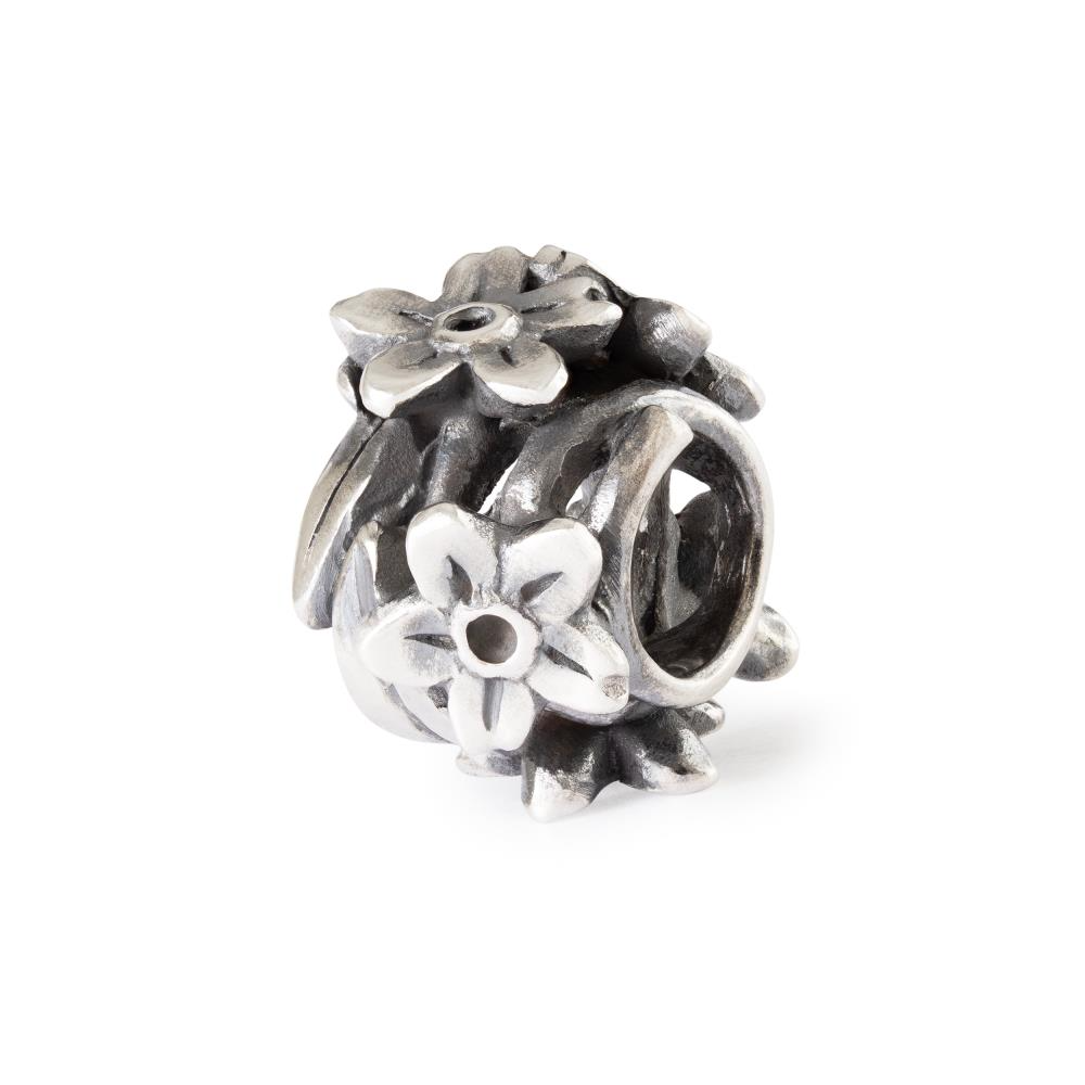 De Trollbeads bedel "Belofte van vergeet-mij-nietje", modelnummer TAGBE-10294, is een elegante hanger die perfect past bij elke sieradencollectie. Deze hanger straalt subtiele schoonheid uit en voegt een vleugje verfijning toe aan elke ketting of armband. Draag het als een elegant accessoire om je persoonlijkheid en stijl te benadrukken. Voeg het toe aan je collectie vandaag nog.