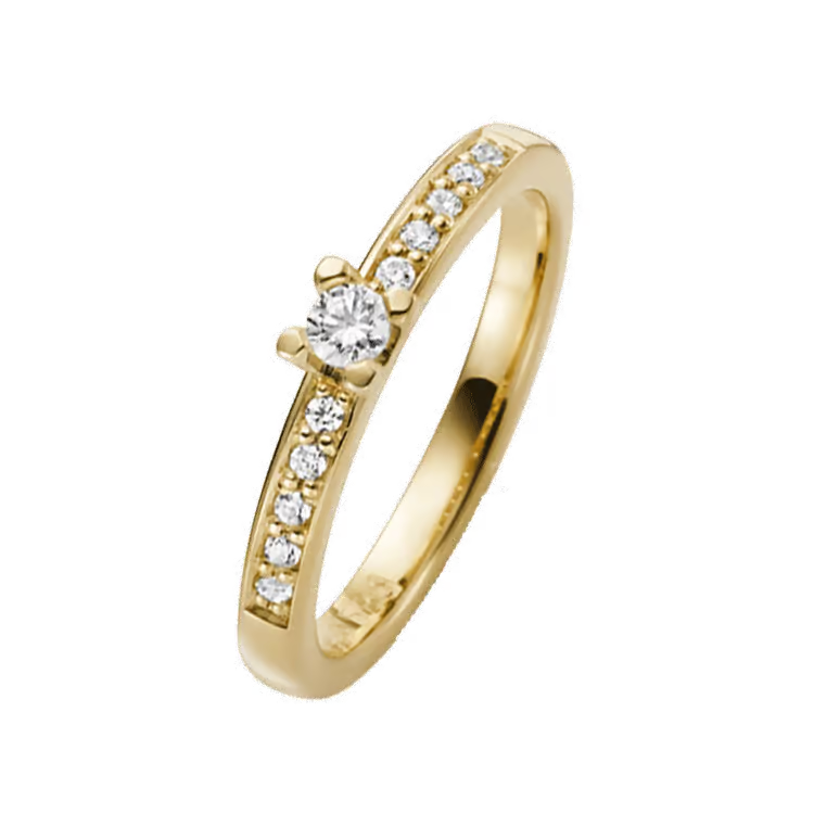 Deze huismerk gouden ring, is een verfijnd sieraad met 13 briljant geslepen diamanten van SI1 zuiverheid en H kleur (Wesselton Wit). Perfect te combineren met zowel casual als formele outfits. Draag hem op je ringvinger of combineer met andere ringen voor een modieuze look. Ideaal als tijdloos cadeau of persoonlijk statement.