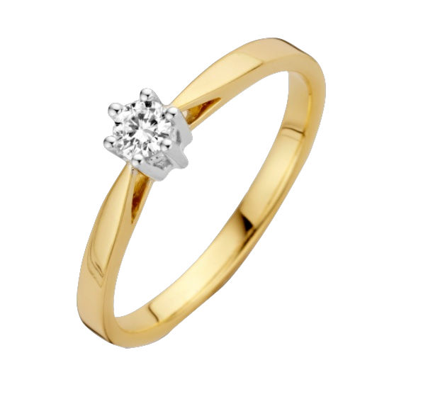 geelgouden ring met witgouden chaton 0.05crt, maat 17
(ook leverbaar in witgoud)