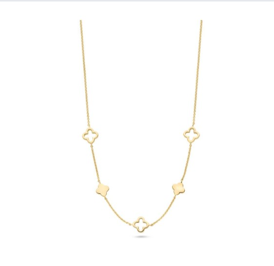 Dit is een collier van het merk FJF Jewellery gemaakt voor dames.