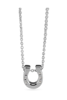 Hoefijzer hanger, inclusief collier. Dit sieraad kan aan de achterkant worden gevuld met as en wordt vermengd met onze speciale hars.
- 7.7 mm breed
- 8.7 mm lang
- collier 42 + 3 cm