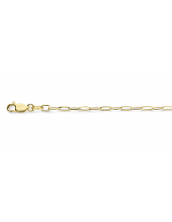 40-GF-ANK02,2XX
Mori Gold Filt&eacute; 2,2mm brede Anker schakel, goud gevuld