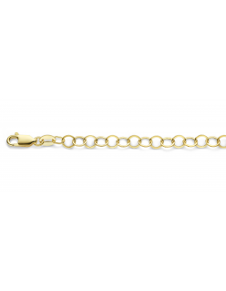 40-GF-PCS04,6XX
Mori Gold Filt&eacute; 4,6mm brede Platte buis, Circel schakels, goud gevuld