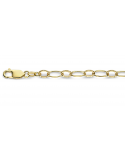 40-GF-ANKG06,0XX
Mori Gold Filt&eacute; 6,0mm brede Anker met Gedraaide schakels, goud gevuld