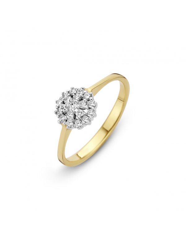 Briljant damesring Enthourage 0.35ct