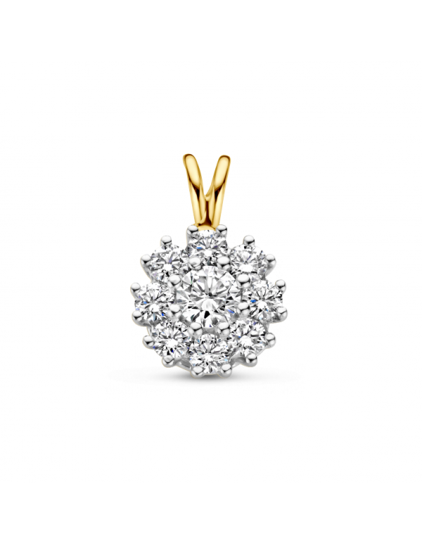 Briljant enthourage hanger 754071100 met 010ct 