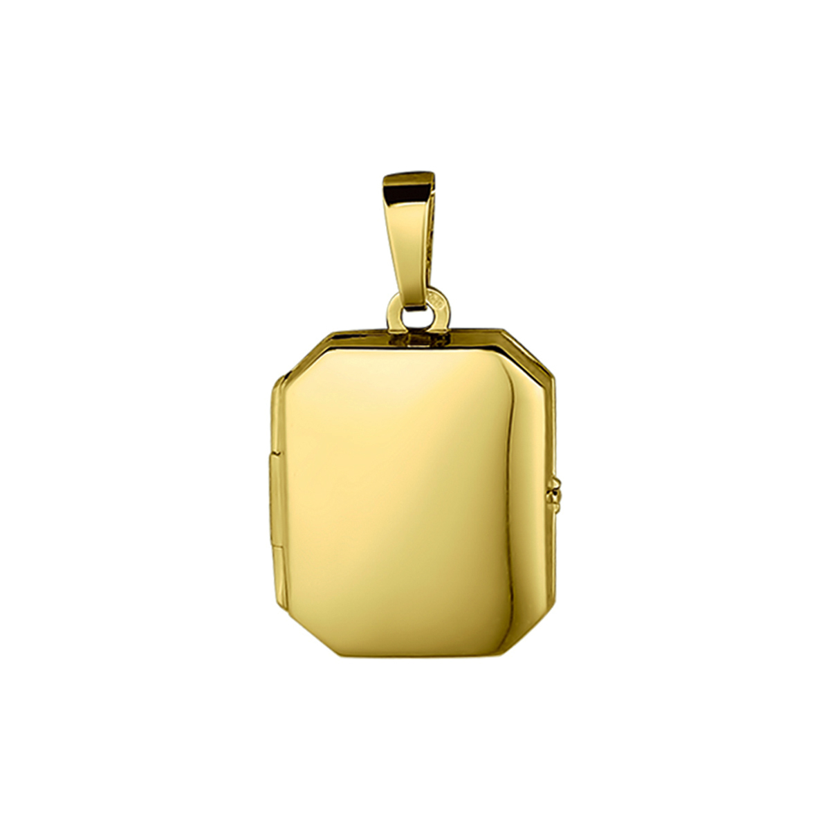 14k Geelgouden medaillon met een hoogte van 21mm en een breedte van 16mm.