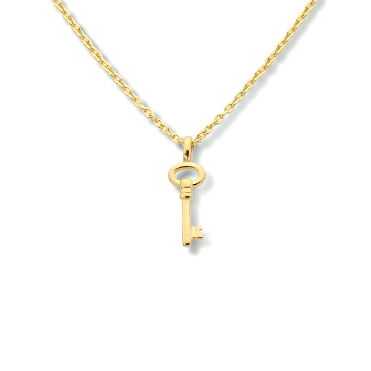 Verguld op 925 zilveren collier uitgevoerd met een hanger in de vorm van een sleutel. Het collier heeft een draaglengte van 41cm met een extensie van 4cm en een stevige karabijn sluiting. Het hangertje heeft een afmeting van 17.5x6mm. De schakelbreedte is 1.5mm. Geen garantie op plating.