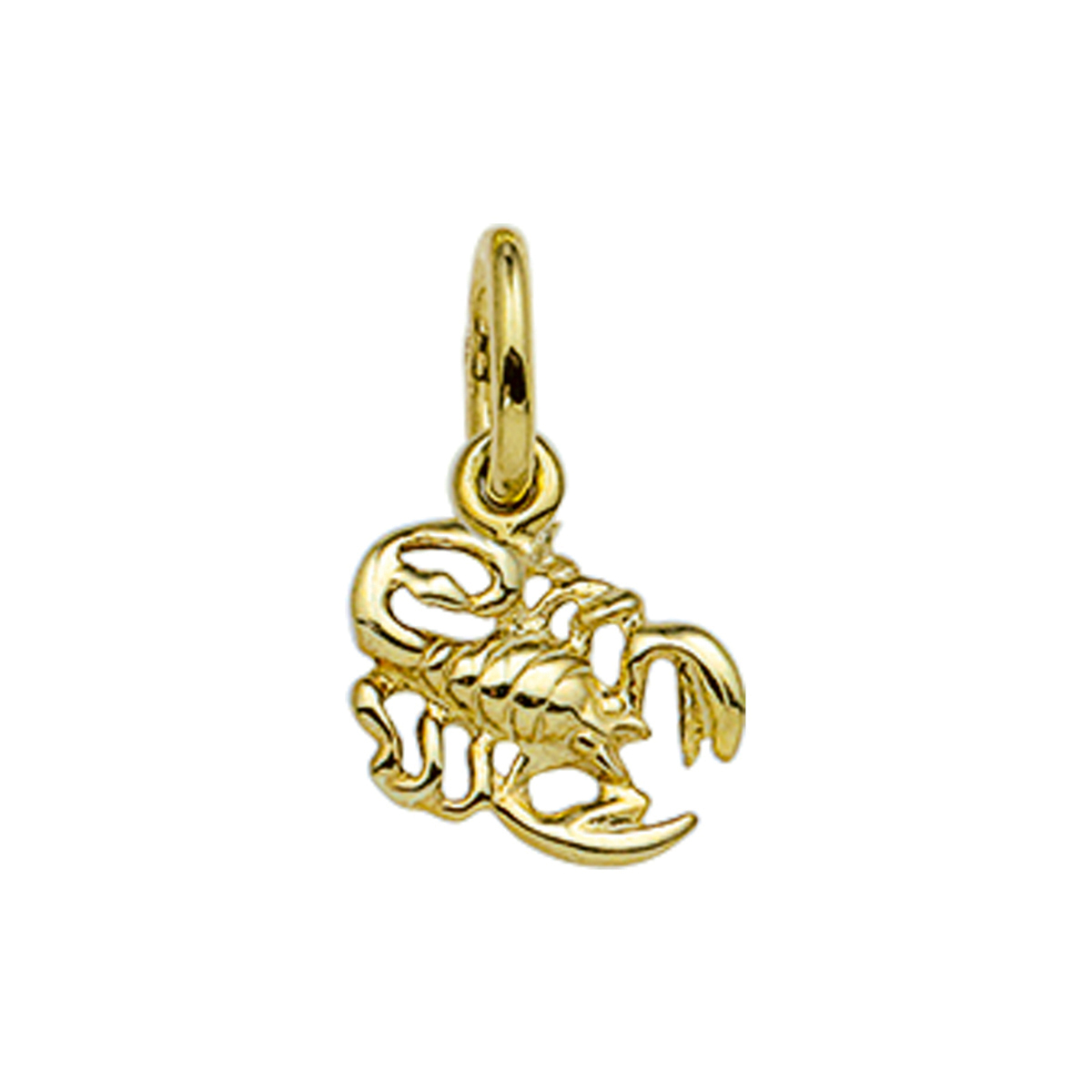 hanger sterrenbeeld 14K geelgoud