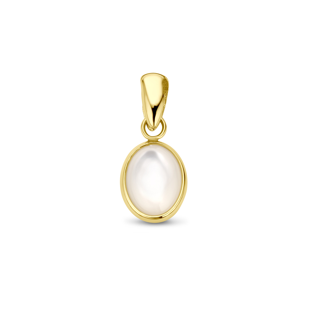 14k Geelgouden hanger uitgevoerd met parelmoer. De hanger heeft een totale hoogte van 16mm.