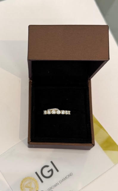 14 karaat gouden ring met 7 labgrown diamanten . totale gewicht van de lab grown diamanten is 0.72crt.. Deze ring is leverbaar met een geel gouden zetting en een wit gouden zetting.