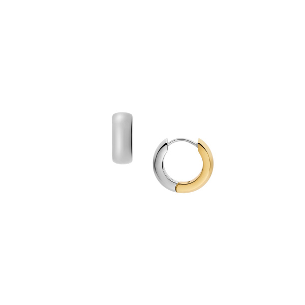 Deze FOSSIL OORRINGEN ELLIS 2TONE HOOP JF04899998 zijn prachtige OORRINGEN die stijl en verfijning toevoegen aan elke outfit. Met hun elegante tweekleurige ontwerp zijn ze perfect voor zowel casual als formele gelegenheden. Draag ze met opgeheven haar of een klassieke zwarte jurk voor een chique uitstraling. Een must-have in uw sieradencollectie!