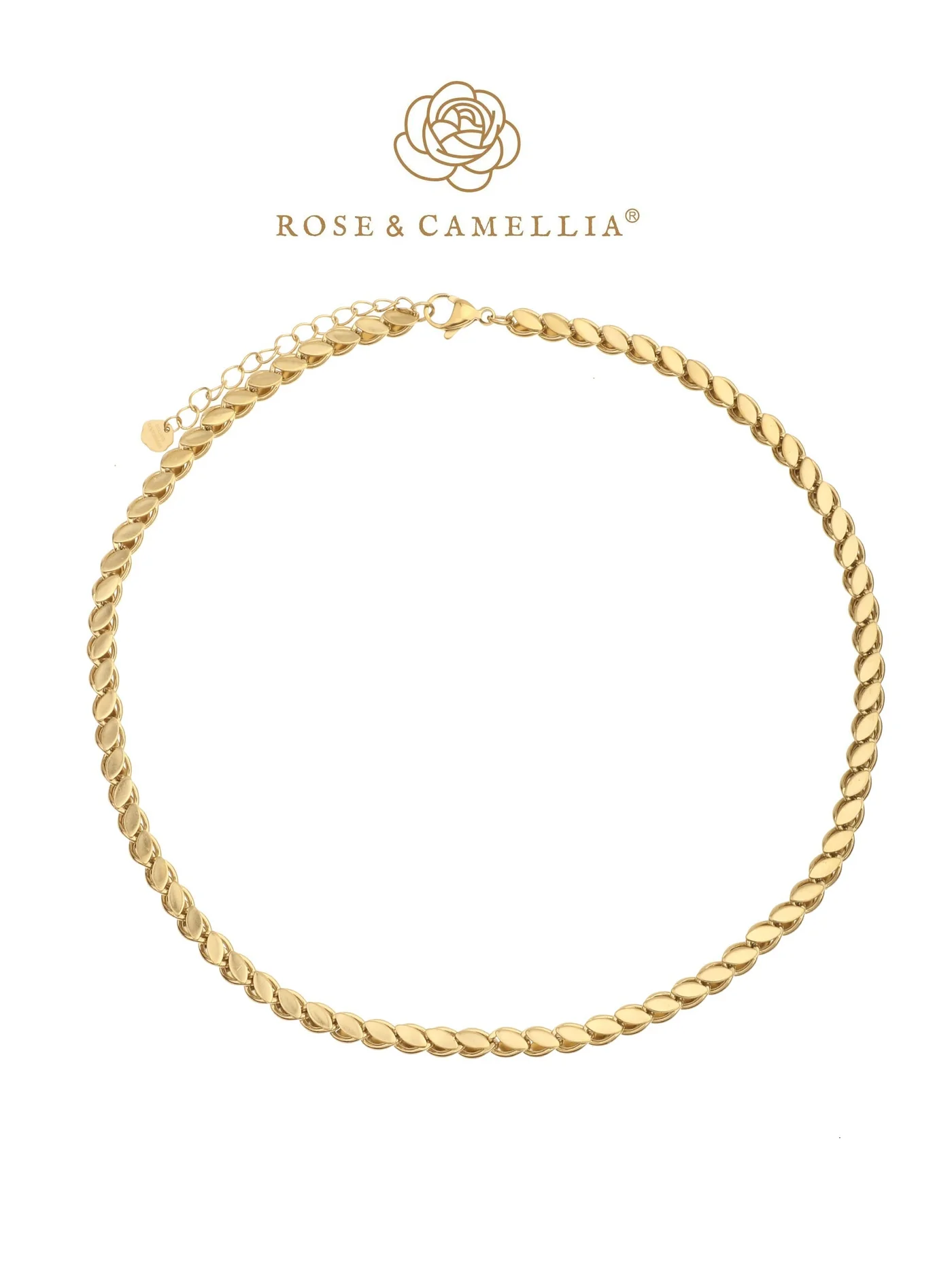 De Rose & Camellia Collier Edelstaal Verguld 42 + 5cm met modelnummer 1700018608999 is een elegante halsketting van edelstaal met een vergulde afwerking. Deze ketting is perfect voor elke gelegenheid en kan solo gedragen worden of gecombineerd met bijpassende sieraden voor een verfijnde look. Draag het bij een stijlvolle jurk of casual outfit voor een chique uitstraling.
