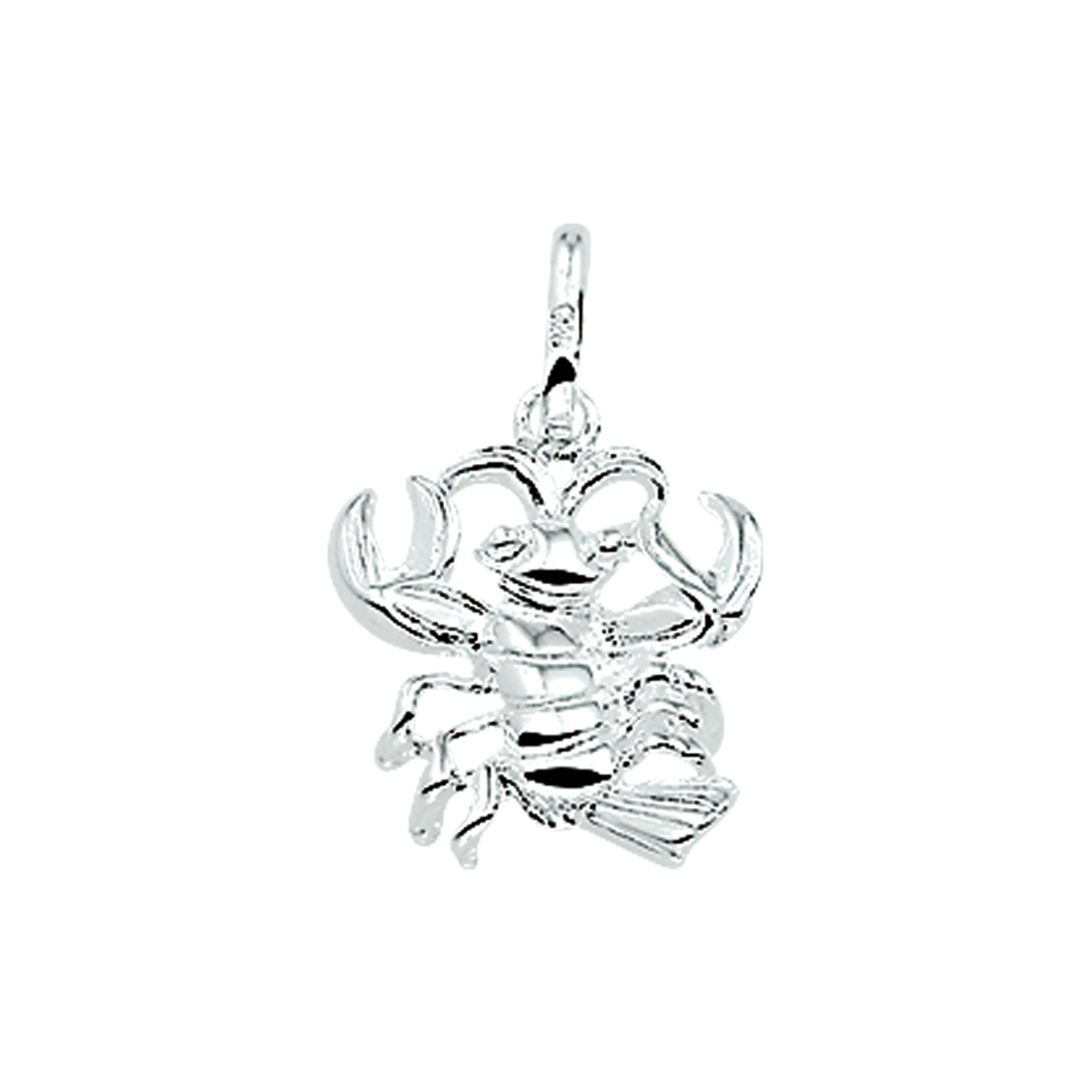 hanger sterrenbeeld zilver wit