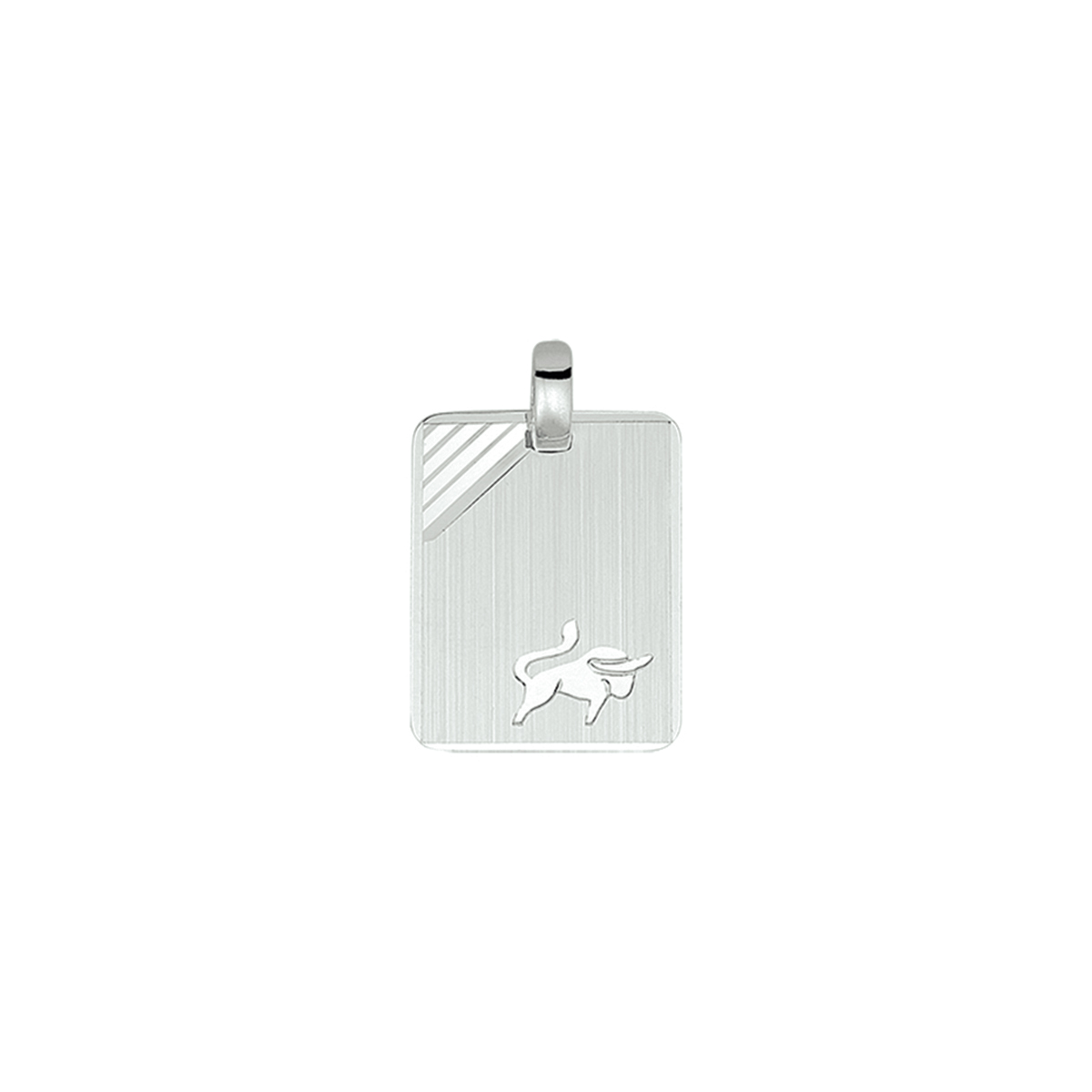 graveerhanger sterrenbeeld gediamanteerd zilver gerhodineerd