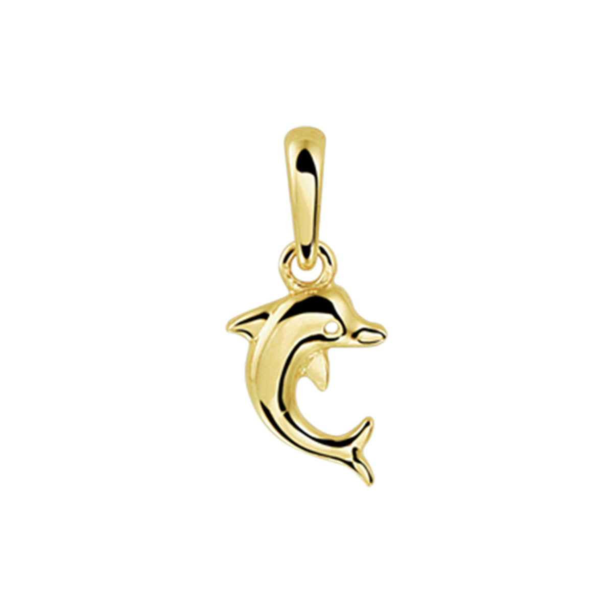 Geelgouden dolfijn hanger met een totale hoogte van 14mm en een dolfijn van 10x6mm. De hanger heeft een poli afwerking en een stevig hangoog.