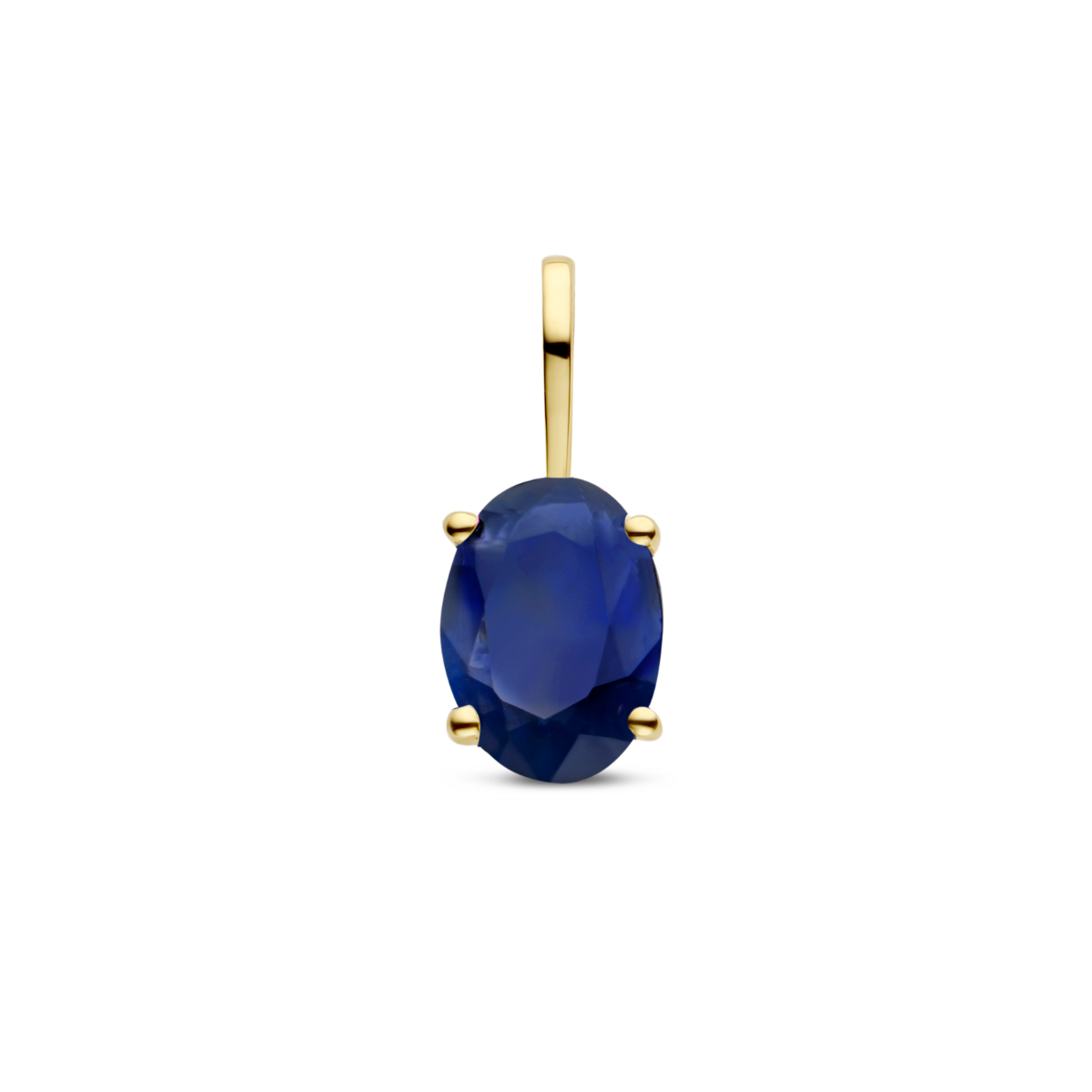 14k Geelgouden hanger met geboortesteen. De hanger heeft een totale hoogte van 12.5mm. 